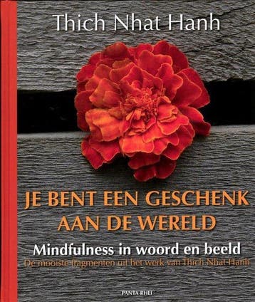 Je bent een geschenk aan de wereld - Thich Nhat Hahn - 97890, Verzenden, Nieuw