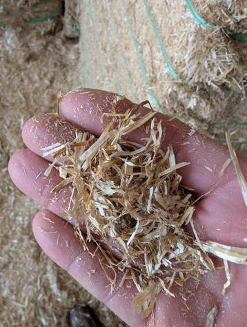Spaans gehamerd tarwestro, Diensten en Vakmensen, Dieren | Paarden | Verzorging, Oppas en Les, Stalling of Weidegang