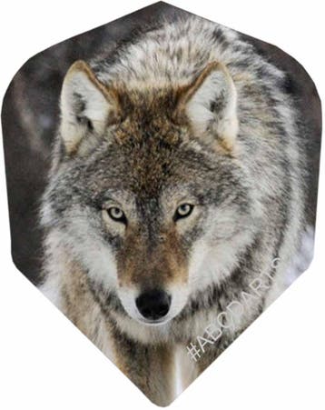 Lone Wolf - 5 sets (Dart Flights), Ophalen of Verzenden, Nieuw, Pijlen