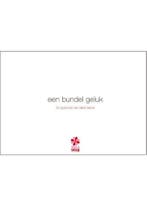 Een bundel geluk 9789491773334 Merel Morre, Verzenden, Gelezen, Merel Morre