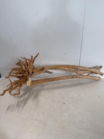 Boutique Stump Selected BS291 - 97x40x31cm (Natuurlijk hout), Ophalen of Verzenden, Nieuw, Plant(en), Steen of Hout