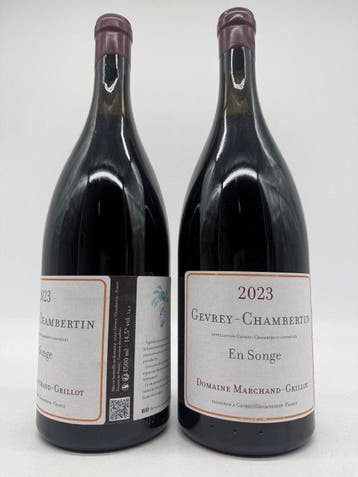 2023 Domaine Marchand-Grillot Gevrey Chambertin En Songe -, Nieuw