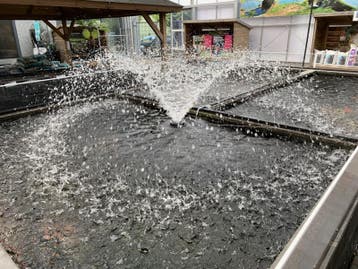 Osaka professional Fountain 20.000 (XXL fontein pomp) 10 met, Ophalen of Verzenden, Nieuw, Vijverpomp