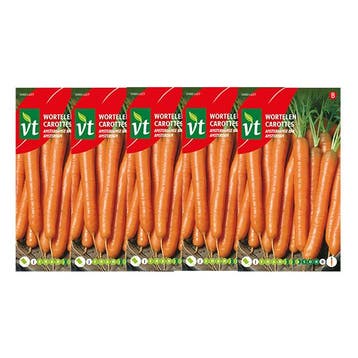 Wortelzaad | VT | 5 stuks (Amsterdamse bak), Verzenden