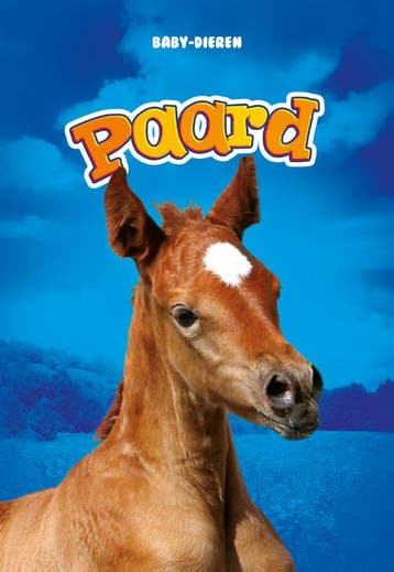 Paard / Baby-dieren - Bethany Olson 9789463413183, Verzenden, Zo goed als nieuw, Bethany Olson