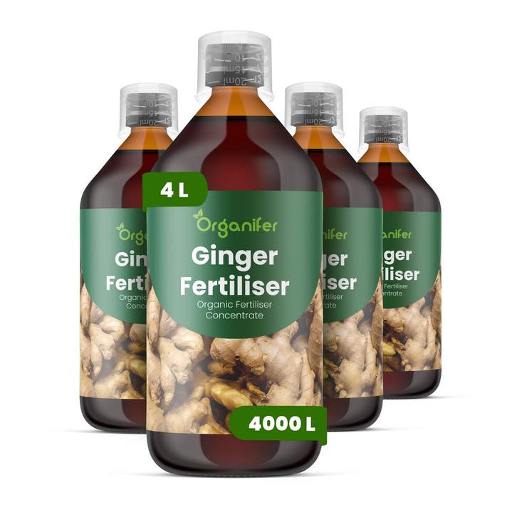 Gember vloeibare meststof - Set 4x1 liter, Tuin en Terras, Aarde en Mest, Mest, Verzenden
