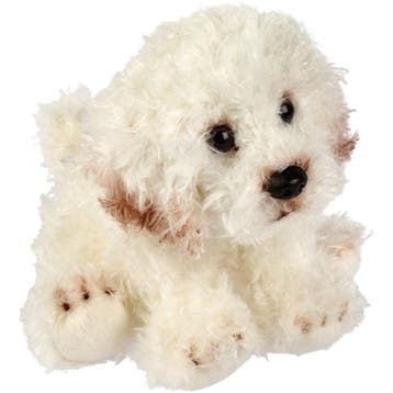 Bichon Frise knuffel - pluche - creme wit - 13 cm, Verzenden, Nieuw