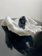 serena grassetti - Safeguard