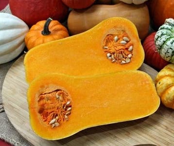 Butternut Emily F1 Vroege flespompoen kleinverpakking, Hobby en Vrije tijd, Ophalen of Verzenden, Nieuw