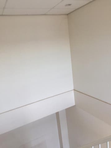 RenoVlies Behangen Scherp geprijsd, Behangen