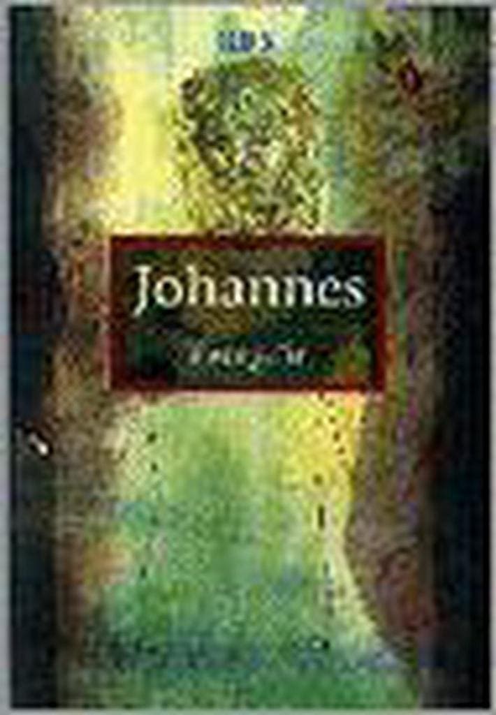 JOHANNES EVANGELIE 9789061736783, Boeken, Godsdienst en Theologie, Gelezen, Verzenden