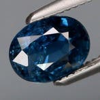 Zonder minimumprijs - 1 pcs Blauw Saffier - 1.33 ct -, Nieuw