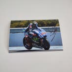 Movistar Yamaha MotoGP - MotoGP - Jorge Lorenzo - 2016 -, Nieuw