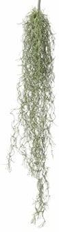 Tillandsia Hangplant Groen 75 cm, Ophalen of Verzenden, Nieuw