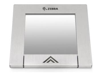 Zebra Glass Platter | MISC-SG0072, Verzenden, Nieuw