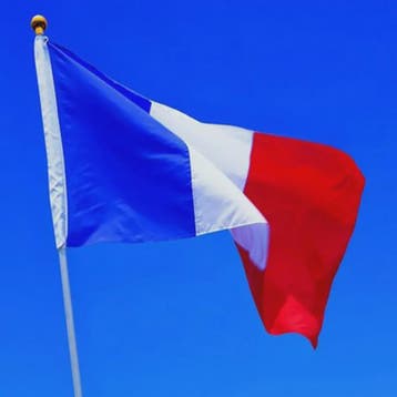 Franse Vlag 90x60cm - Decoratie voor Feest, Parade & Kantoor, Verzenden, Nieuw