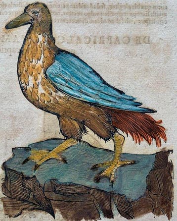 Conrad Gesner - Vogelbuch - 1617, Antiek en Kunst, Antiek | Boeken en Bijbels
