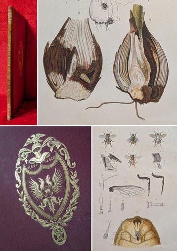 [FIRST EDITION] Dr. J. Ritzema Bos - [Ex-libris of Sir