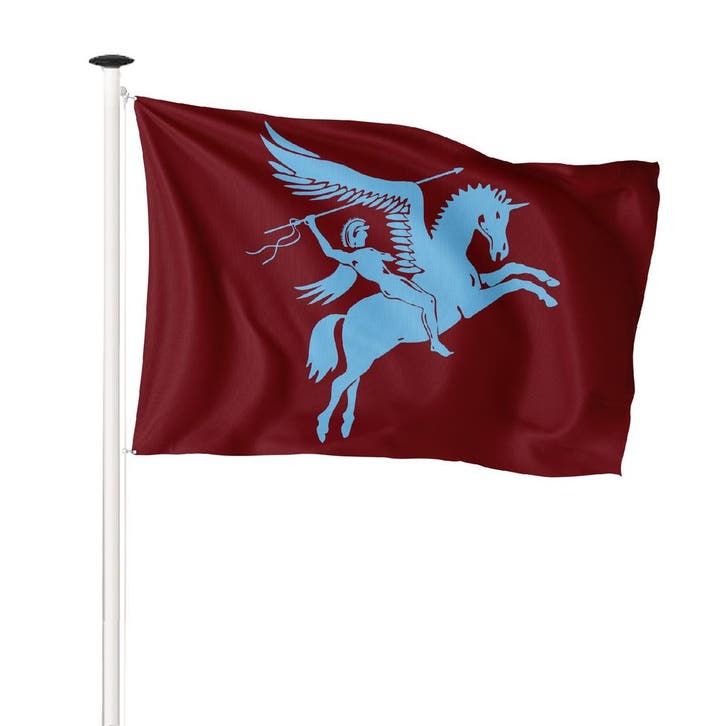NR 530: Airborne vlag 100x150cm (voor gevelstok), Diversen, Vlaggen en Wimpels, Nieuw