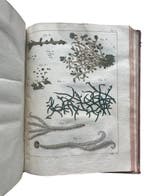 Justin Girod-Chantrans - Recherches chimiques et