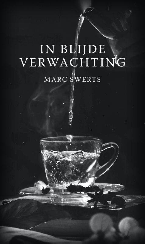 In blijde verwachting 9789493293281 Marc Swerts, Boeken, Romans, Zo goed als nieuw, Verzenden