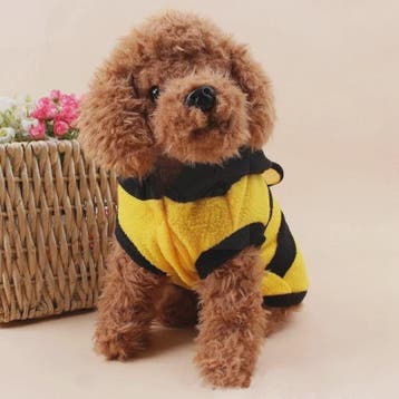 Schattige Bijen Fleece Hoodie voor Honden en Katten - Warm &, Verzenden, Nieuw