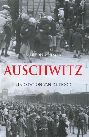 Auschwitz - Emerson Vermaat 9789461532718, Boeken, Verzenden, Gelezen, Emerson Vermaat