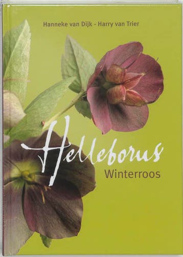 Helleborus - Hanneke van Dijk 9789058561541, Verzenden, Zo goed als nieuw, Hanneke van Dijk