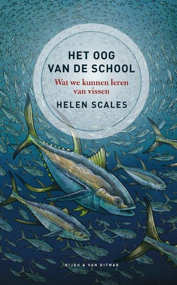 Het oog van de school - Helen Scales 9789038805375, Boeken, Verzenden, Zo goed als nieuw, Helen Scales