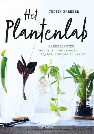 Het plantenlab - Judith Baehner 9789462501676, Verzenden, Zo goed als nieuw, Judith Baehner