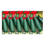 Courgettezaad | VT | 5 stuks, Verzenden