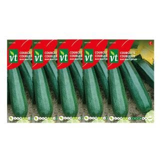Courgettezaad | VT | 5 stuks, Tuin en Terras, Bloembollen en Zaden, Verzenden