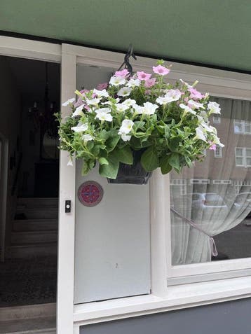 Te huur: Appartement Van Bossestraat in Amsterdam, Noord-Holland, Appartement, Amsterdam