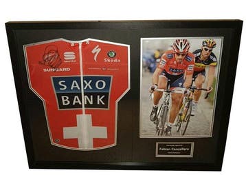 Wielrennen - Fabian Cancellara - Zwitsers kampioen - 2010 -, Nieuw