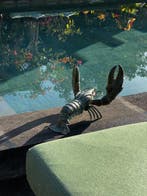 sculptuur, Sooka Interior - Large Lobster Sculpture - 21 cm