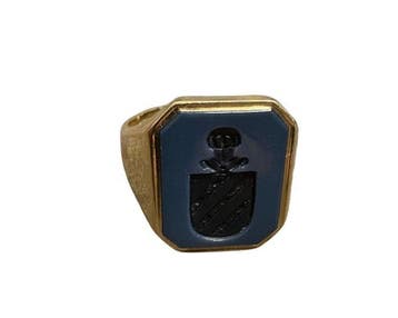 Zegelring - 14 karaat Geel goud Lapis lazuli - Gouden