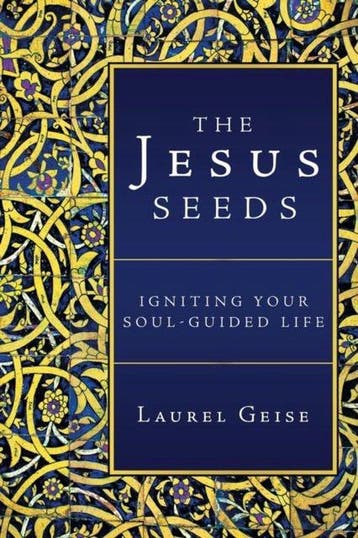 The Jesus Seeds 9781452572536 Laurel Geise, Boeken, Verzenden, Gelezen, Laurel Geise