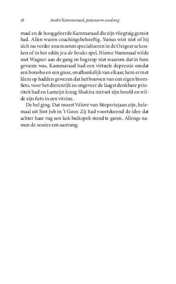 André Kammaraad, patanoom-analoog 9789463191296, Verzenden, Zo goed als nieuw, Mathieu Weggeman