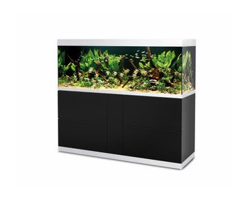 Oase HighLine Optiwhite 600 Zwart, Ophalen of Verzenden, Nieuw