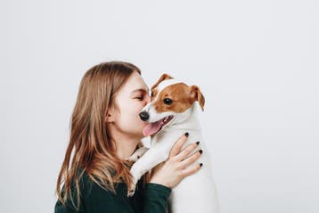 Jack Russell verzekeren? Voorkom hoge dierenartskosten, Dieren en Toebehoren, Nederland, Handelaar, 8 tot 15 weken, Meerdere
