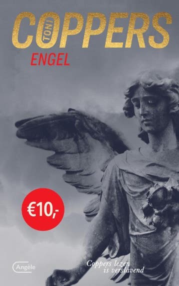 Engel / Liese Meerhout / 2 - Toni Coppers 9789022336298, Verzenden, Gelezen, Toni Coppers