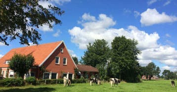 Luxe VakantieVilla met Bioscoop, Bar, Sauna en Whirlpool, Groepsaccommodatie, Dorp, Internet, Noord-Duitsland