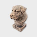 Bust of a Alabai Bust Central Asian Shepherd Dog statue - ha, Verzenden, Nieuw