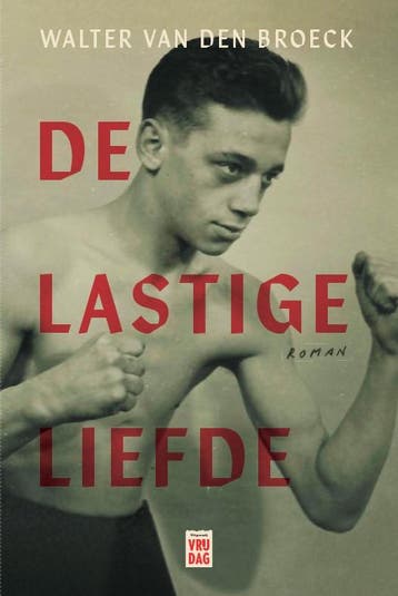 De Lastige Liefde | Walter Van den Broeck | Nieuw, Ophalen of Verzenden, Nieuw, Walter Van den Broeck