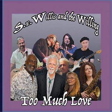 cd - S.E. Willis and the Willing - Too Much Love, Verzenden, Zo goed als nieuw