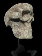 Prachtige oba-schedel - Yoruba - Nigeria (Zonder, Antiek en Kunst, Kunst | Niet-Westerse kunst