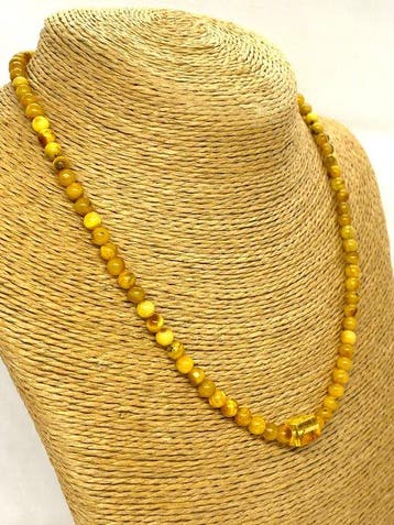 Natuurlijke Baltische Amber Ketting met een insect -