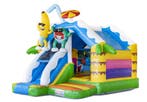 Te Huur: Summer Party Springkussen Bezorging mogelijk
