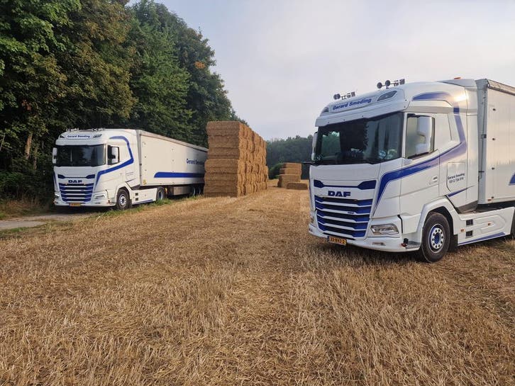 Tarwe stro en Spaans gehamerd stro levering heel Nederland, Dieren en Toebehoren, Dierenvoeding, Vee