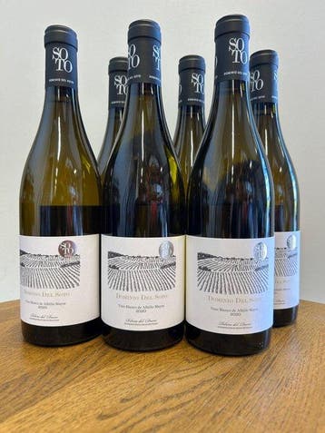 2020 Dominio del Soto Blanco - Ribera del Duero - 6 Flessen, Nieuw